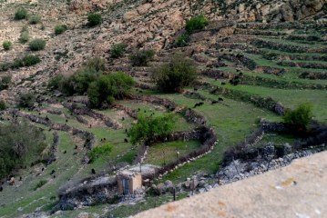 المنسقية الاقليمية لشبكة جمعيات محمية المحيط الحيوي لأركان بتيزنيت تصدر بيانا بخصوص الرعي الجائر