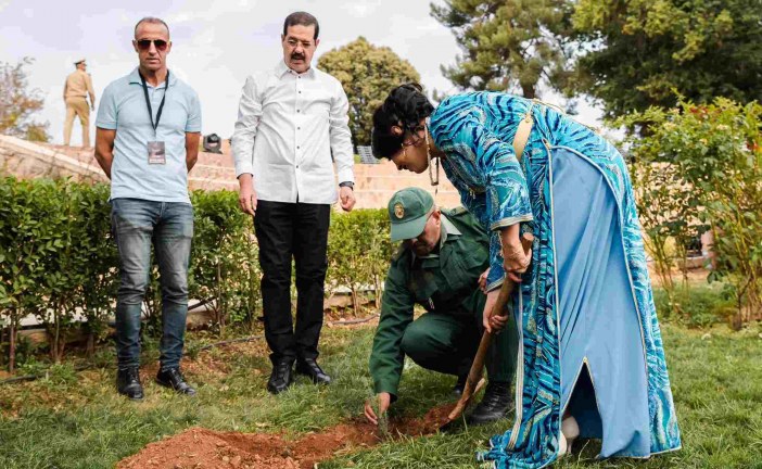 “أشجار تغرس بأياد الفنانين ” .. مبادرة بيئية هادفة بمهرجان افران الدولي في نسخته السادسة