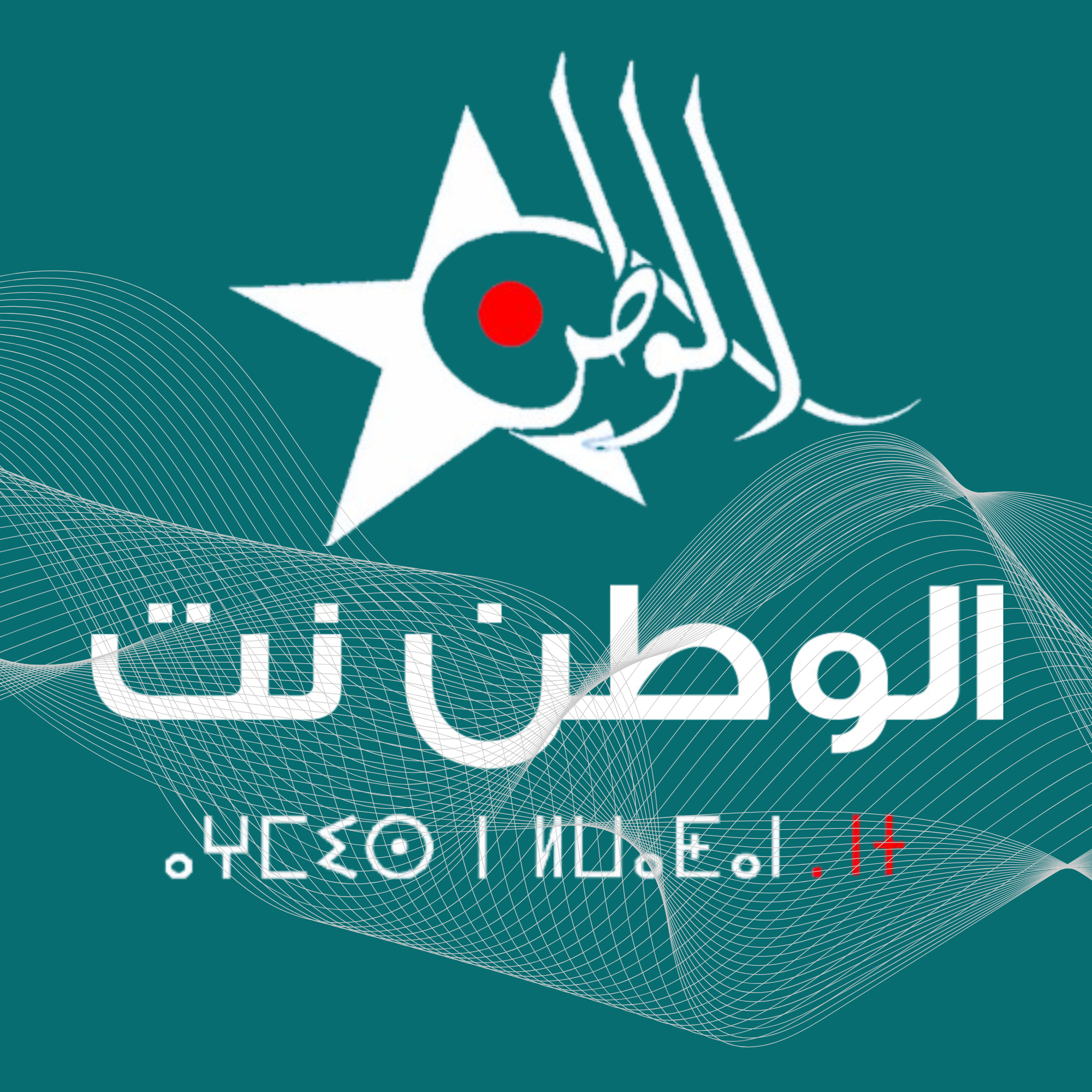 الوطن نت